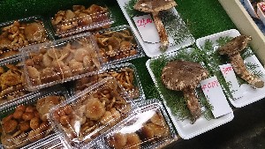 20150926 - T̔ł -_18