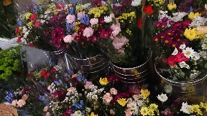 20150926 - T̔ł -_20