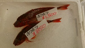 20151003 - T̔ł -_41