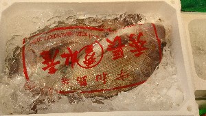 20151003 - T̔ł -_47