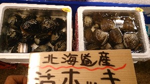20151003 - T̔ł -_53