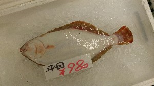 20151010 - T̔ł -_19