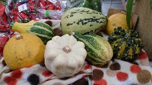 20151011 - g̐؂蔄 -_1