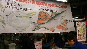 20151011 - g̐؂蔄 -_4