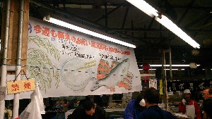 20151011 - g̐؂蔄 -_5