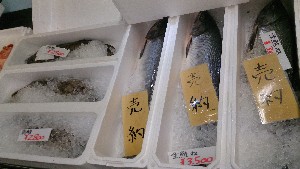 20151017 - T̔ł  -_39
