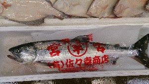 20151017 - T̔ł  -_50