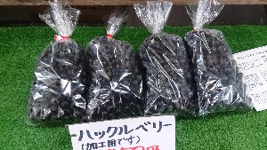 20151024 - T̔ł  -_13