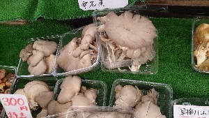 20151024 - T̔ł  -_15