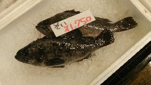 20151024 - T̔ł  -_33