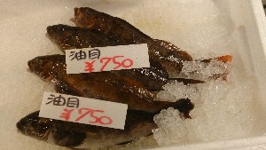 20151024 - T̔ł  -_36