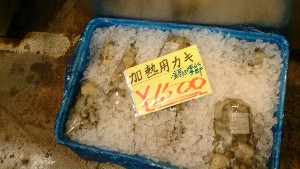 20151024 - T̔ł  -_39