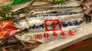 20151024 - T̔ł  -_47