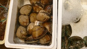 20151024 - T̔ł  -_52