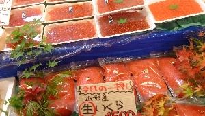 20151024 - T̔ł  -_54
