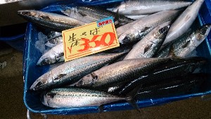 20151031 - T̔ł  -_35
