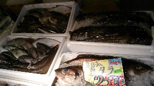 20151031 - T̔ł  -_37