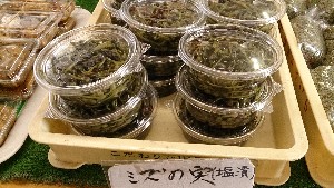 20151107 - T̔ł  -_21