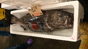 20151107 - T̔ł  -_69