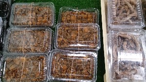 20151121 - ���T�̔����ł�  -_5