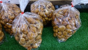 20151121 - ���T�̔����ł�  -_6