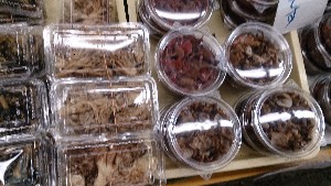 20151121 - ���T�̔����ł�  -_7