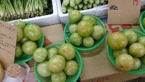 20151121 - ���T�̔����ł�  -_11