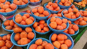 20151121 - ���T�̔����ł�  -_14