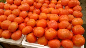 20151121 - ���T�̔����ł�  -_16