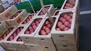 20151121 - ���T�̔����ł�  -_17