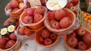 20151121 - ���T�̔����ł�  -_18