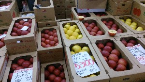 20151121 - ���T�̔����ł�  -_19