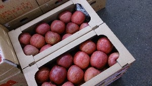 20151121 - ���T�̔����ł�  -_20