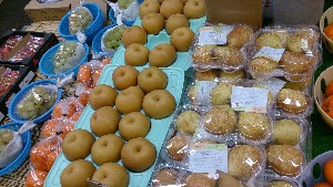 20151121 - ���T�̔����ł�  -_21