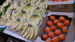 20151121 - ���T�̔����ł�  -_22