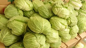 20151121 - ���T�̔����ł�  -_28