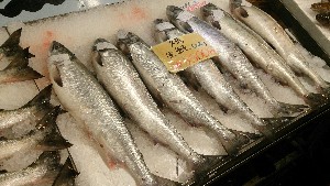 20151121 - ���T�̔����ł�  -_32