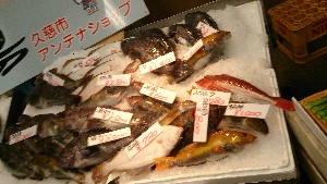 20151121 - ���T�̔����ł�  -_34