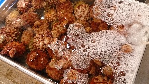 20151121 - ���T�̔����ł�  -_37