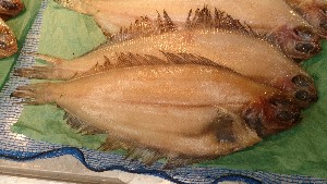 20151121 - ���T�̔����ł�  -_39