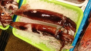 20151121 - ���T�̔����ł�  -_40