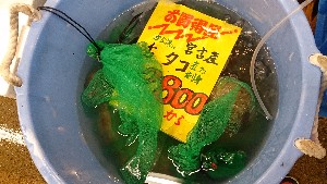 20151121 - ���T�̔����ł�  -_41