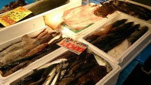 20151121 - ���T�̔����ł�  -_44