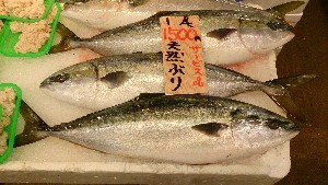 20151121 - ���T�̔����ł�  -_45