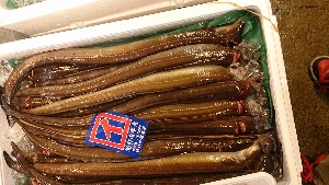 20151121 - ���T�̔����ł�  -_48