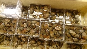 20151121 - ���T�̔����ł�  -_51