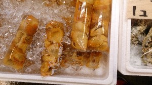 20151121 - ���T�̔����ł�  -_53