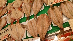 20151121 - ���T�̔����ł�  -_54