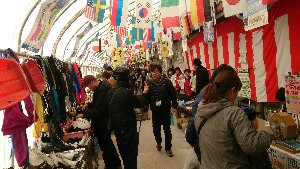 20151121 - ���T�̔����ł�  -_56