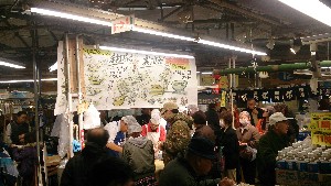 20151121 - {̎ł΂̎  -_11